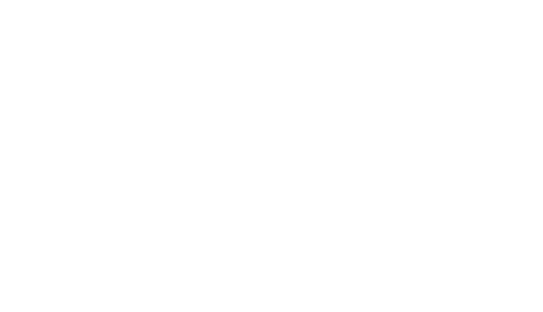 Ion